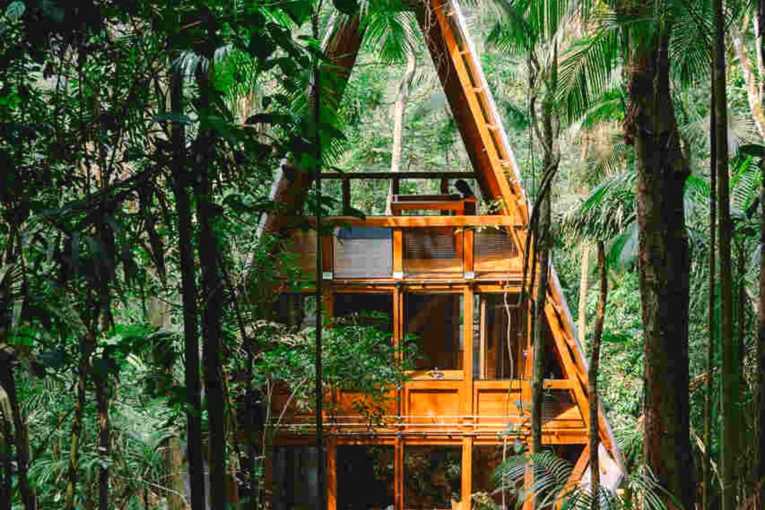 Imagens Recorte MIDIAS