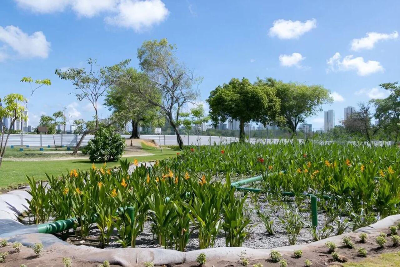 O sistema usa plantas aquáticas nativas para filtrar poluentes Foto Giselle Cahú ARIES CITinova Easy Resize com