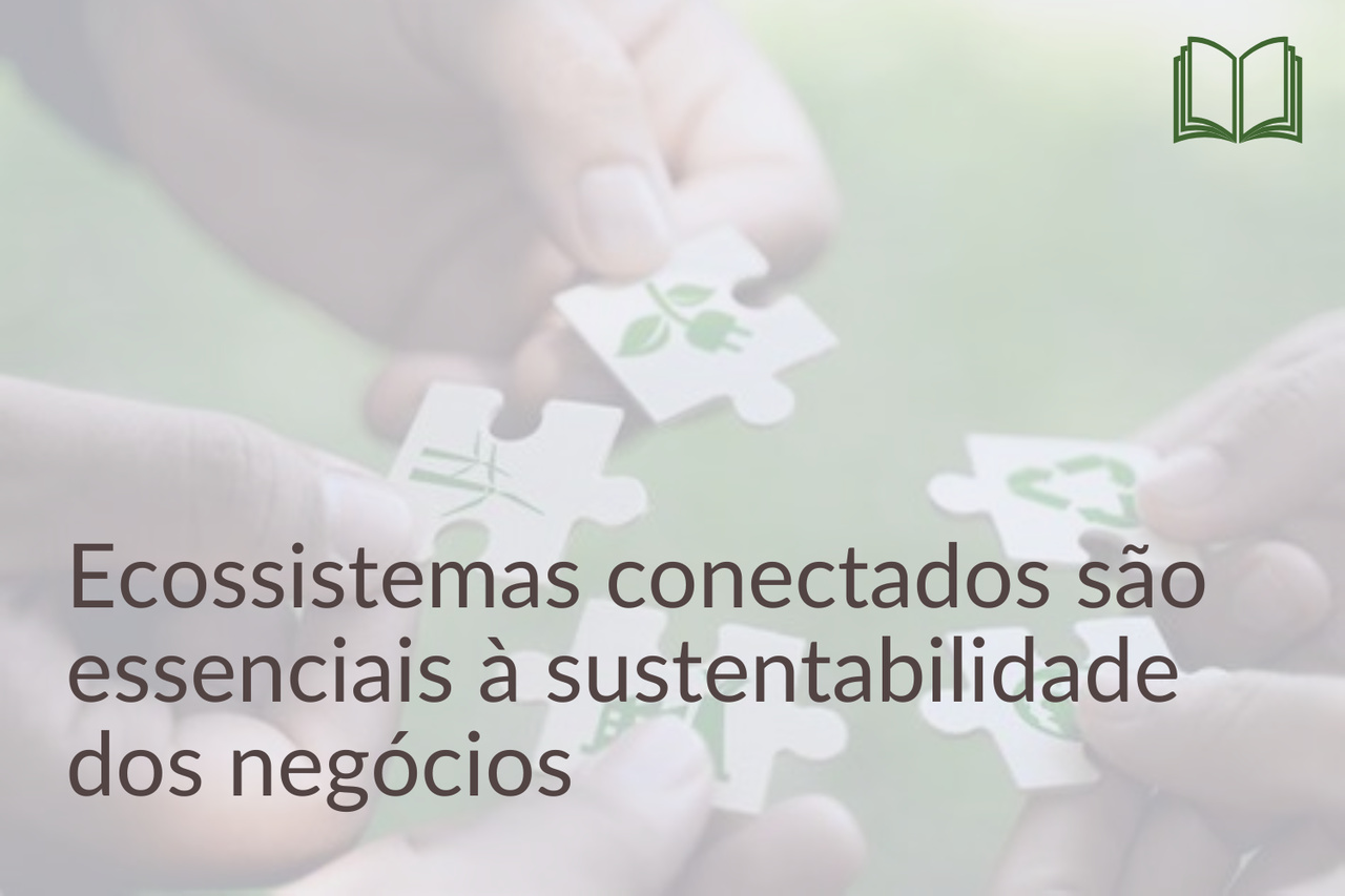 Imagens SITE () Easy Resize com