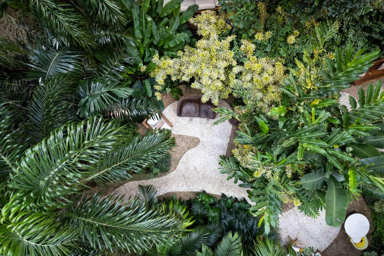 image () Easy Resize com