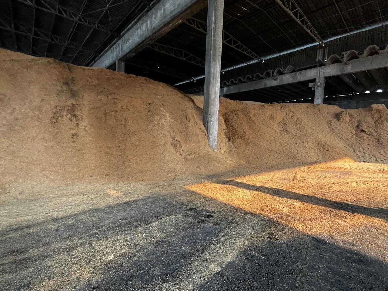 Casca de Arroz CAN jpg Easy Resize com