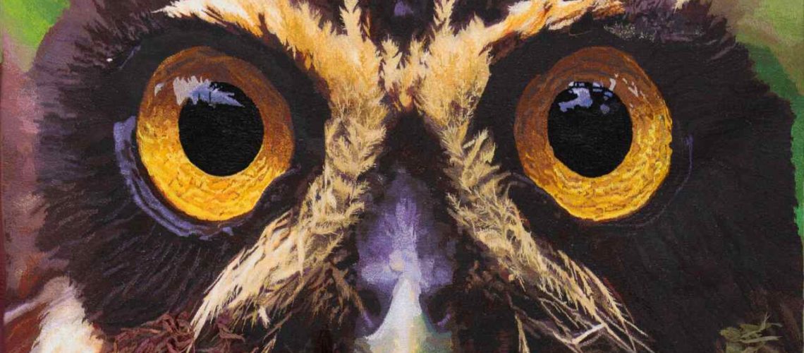 Imagens SITE T Easy Resize com